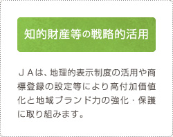 知的財産等の戦略的活用 JAは、地理的表示制度の活用や商標登録の設定等により高付加価値化と地域ブランド力の強化・保護に取り組みます。